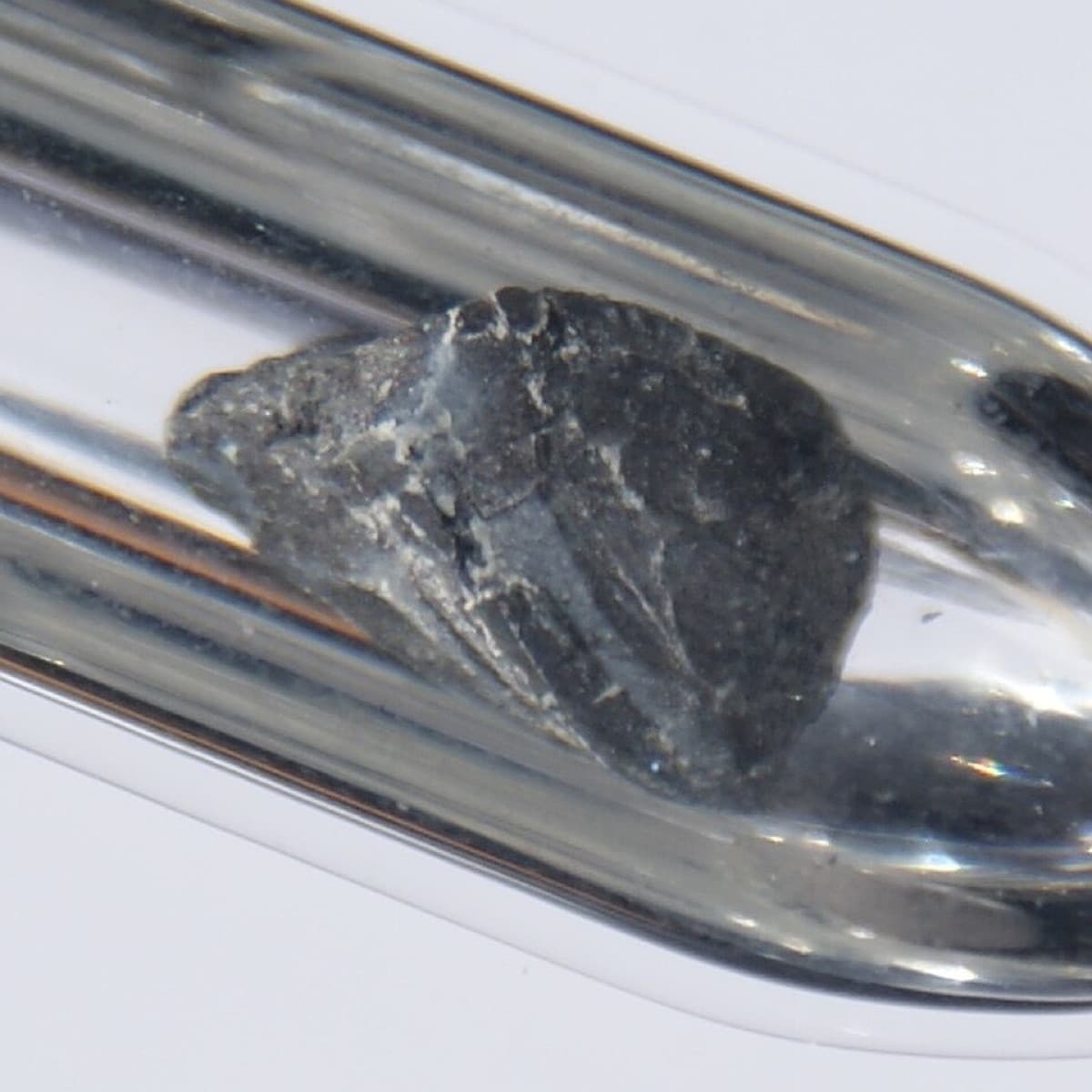 1.5 Grams Barium with a Grey Oxide Layer under Argon. Original size in cm: 0.7 x 1